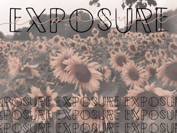 Exposure: A Script Amp Font That Feels Like Hand-Picked Magic