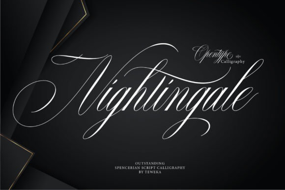 Nightingale: A Handwritten Font That Makes Your Brand Feel Human