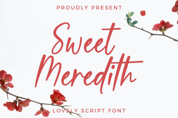 Sweet Meredith: A Modern Script Typeface for Editorial Warmth